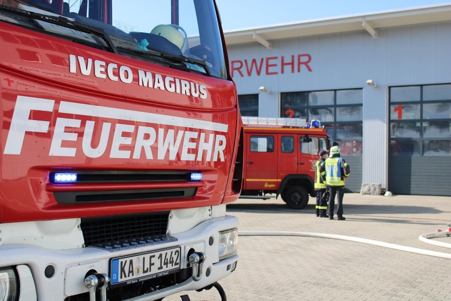 Dinas Damkar Sleman Tangani Pohon Tumbang di Hutan Kota