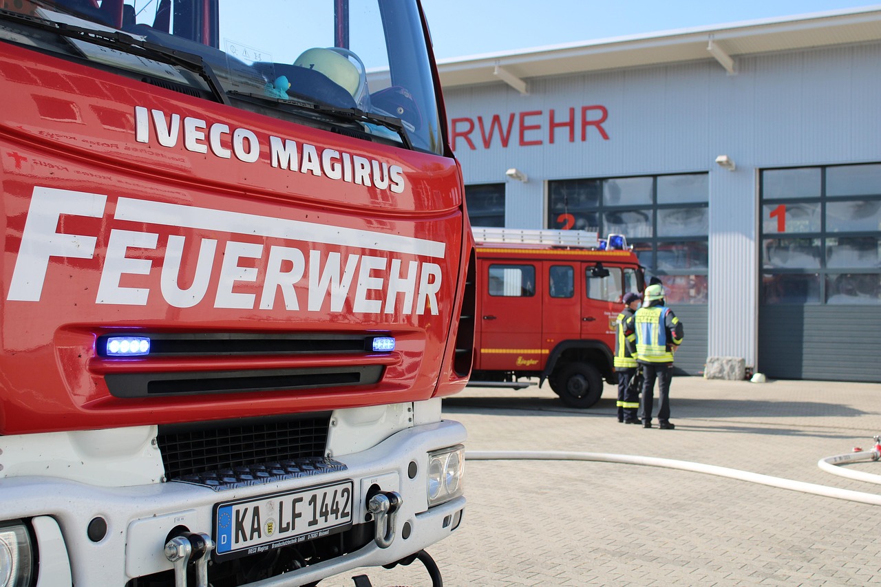 Dinas Damkar Sleman Tangani Pohon Tumbang di Hutan Kota